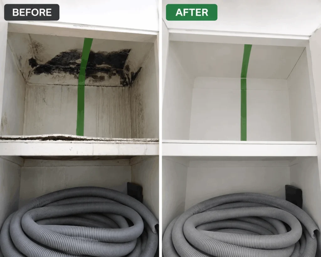 Gallery 5 Mold Removal in inwood